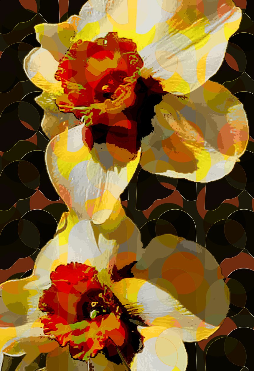 Påskelilje (digital) af Scott J. Davis
