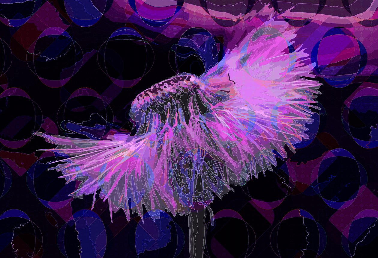 Mælkebøtte,2 2019 af Scott J. Davis