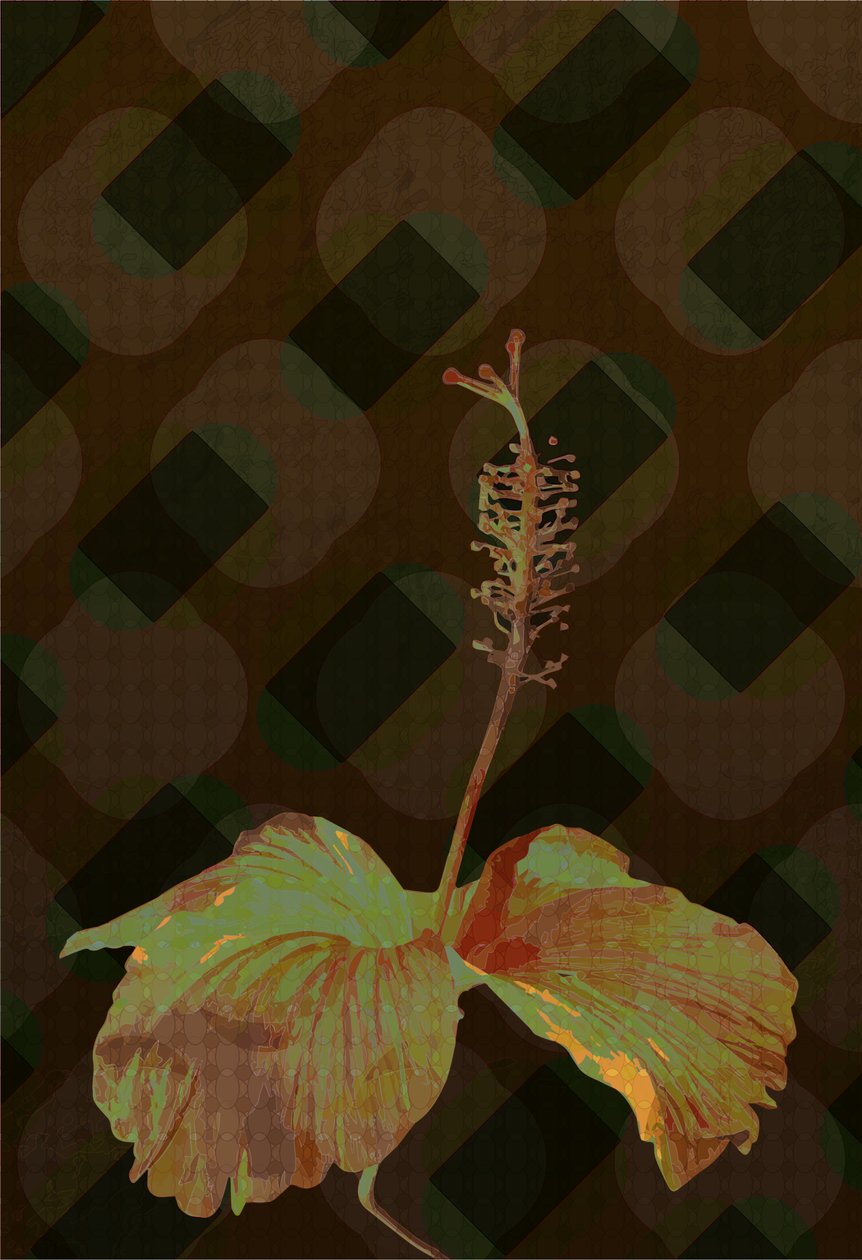 Hibiscus,2 2019 af Scott J. Davis