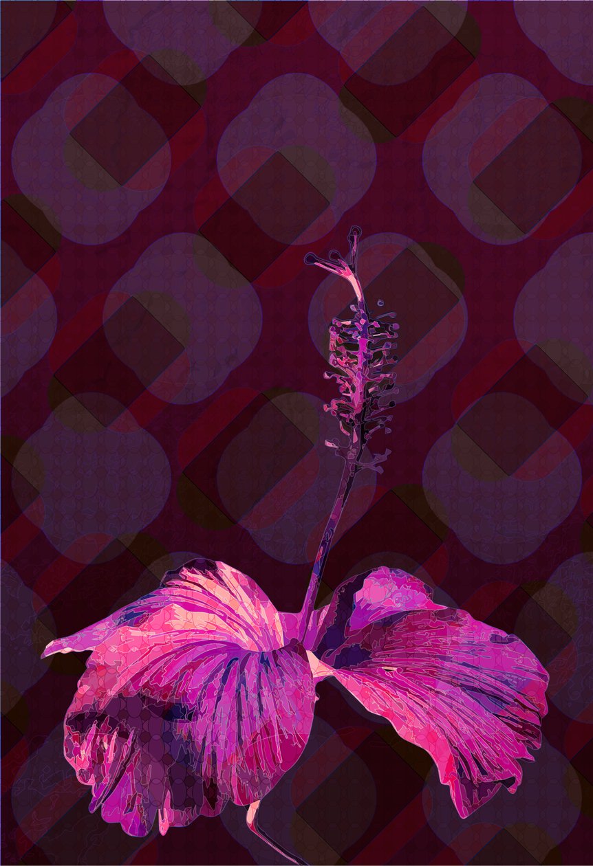 Hibiscus3, 2019 af Scott J. Davis