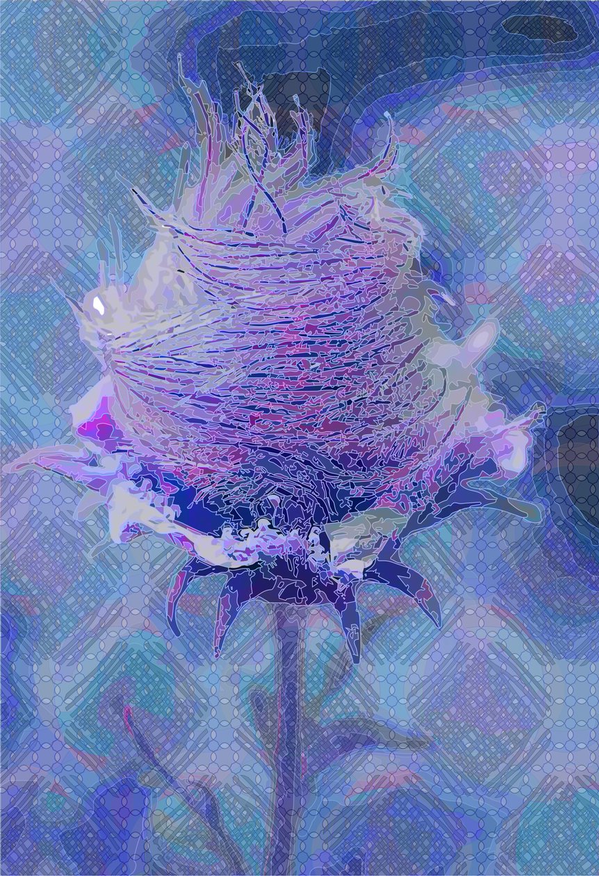 Wood Avens,2 2019 af Scott J. Davis