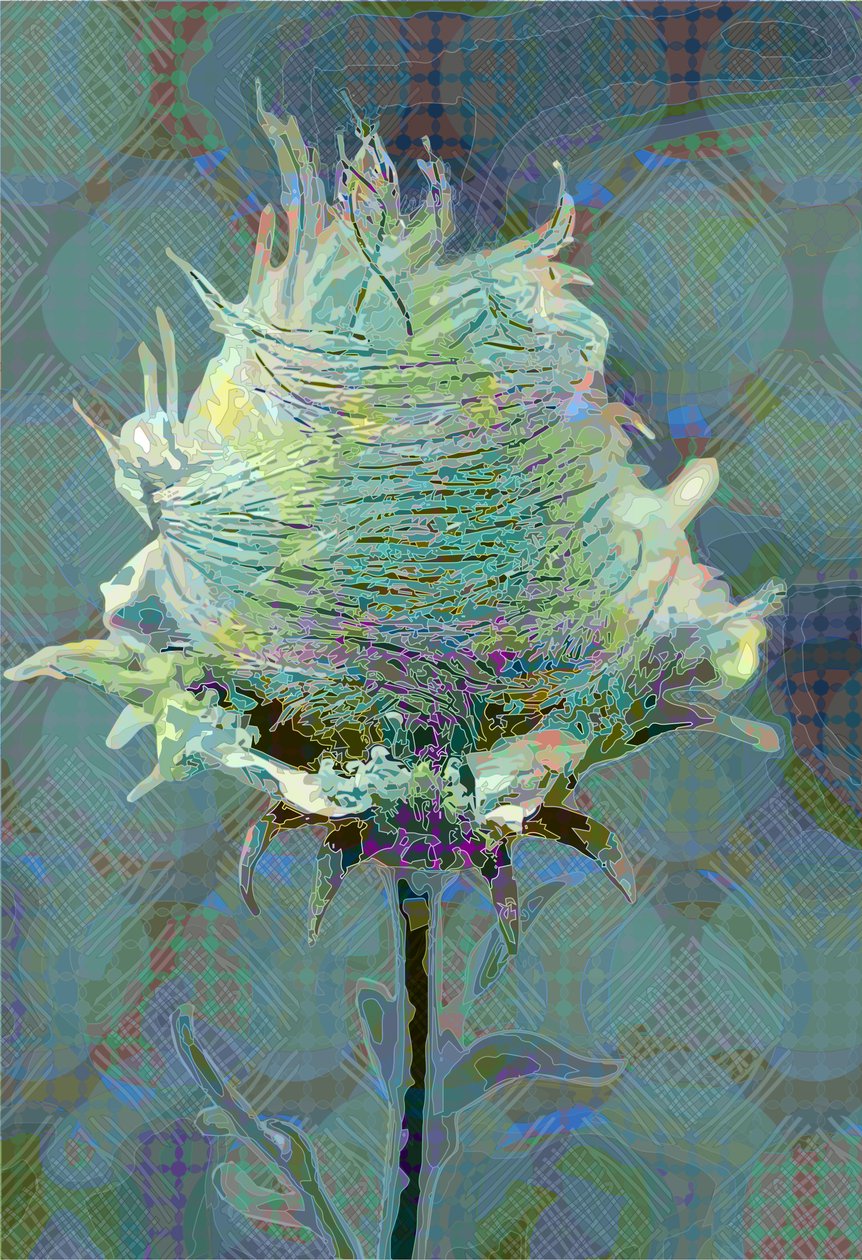 Wood Avens3, 2019 af Scott J. Davis