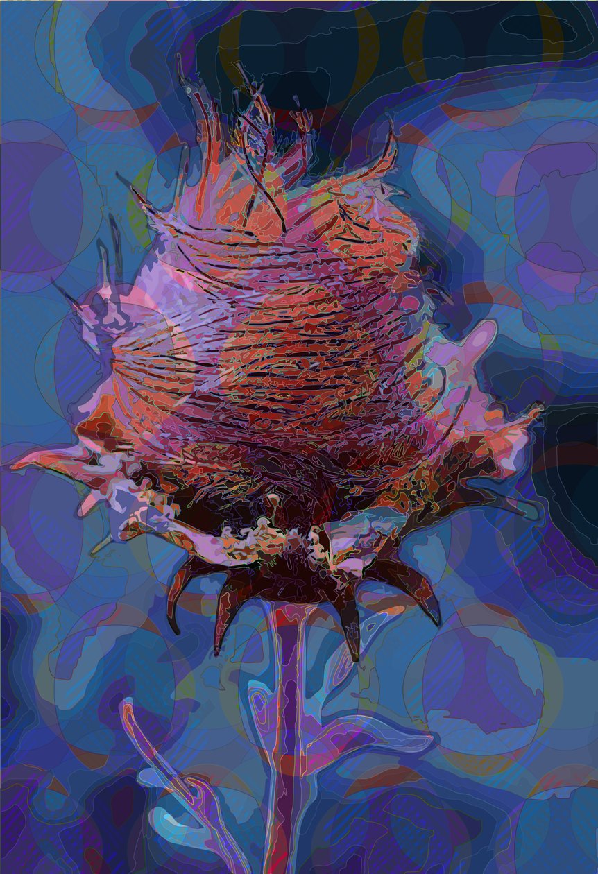 Wood Avens, 2019 af Scott J. Davis