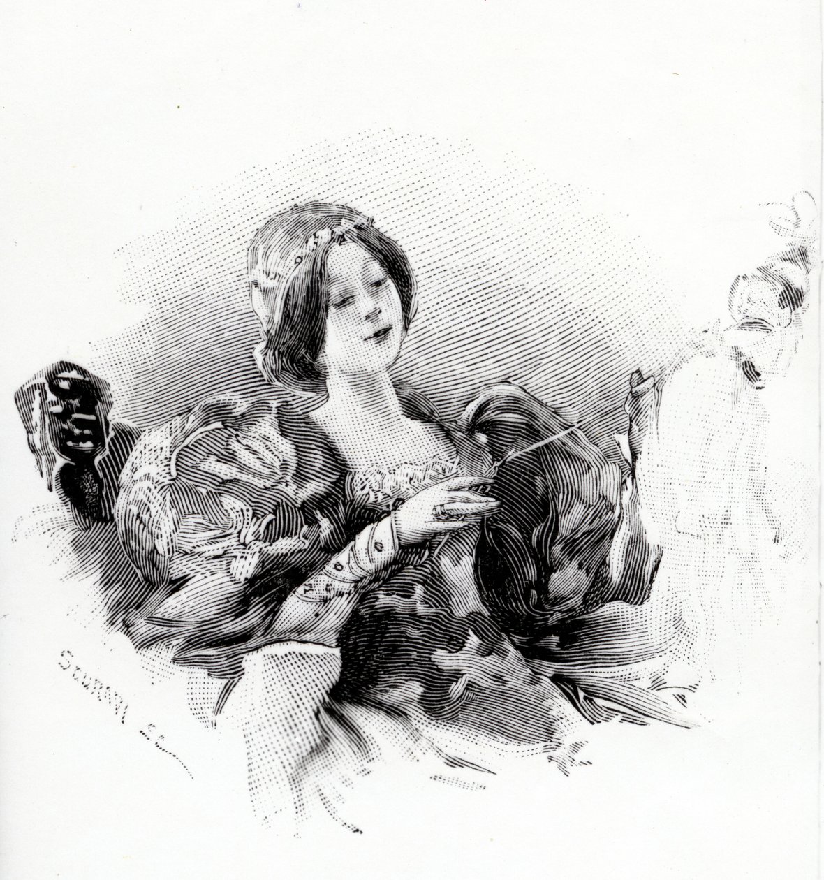 Tornerose, illustration fra 