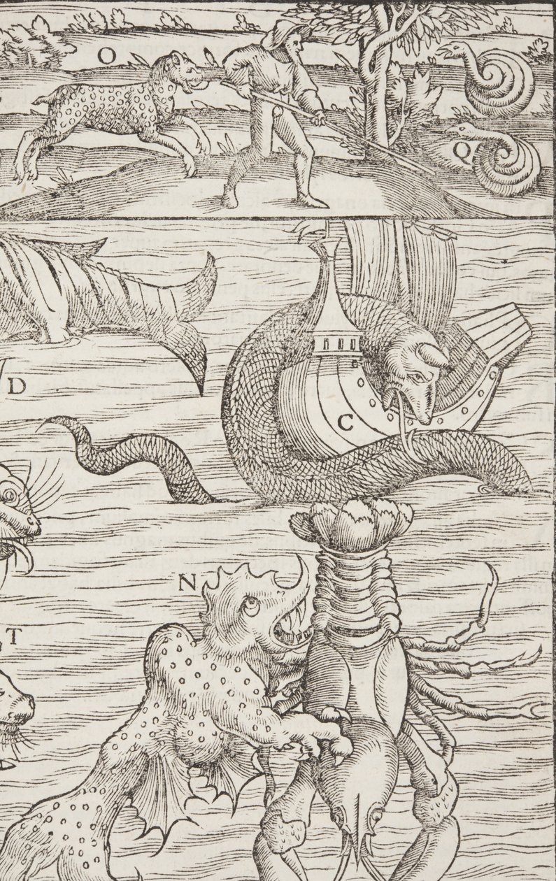 Cosmographia, Fol 853, 1544 af Sebastian Munster