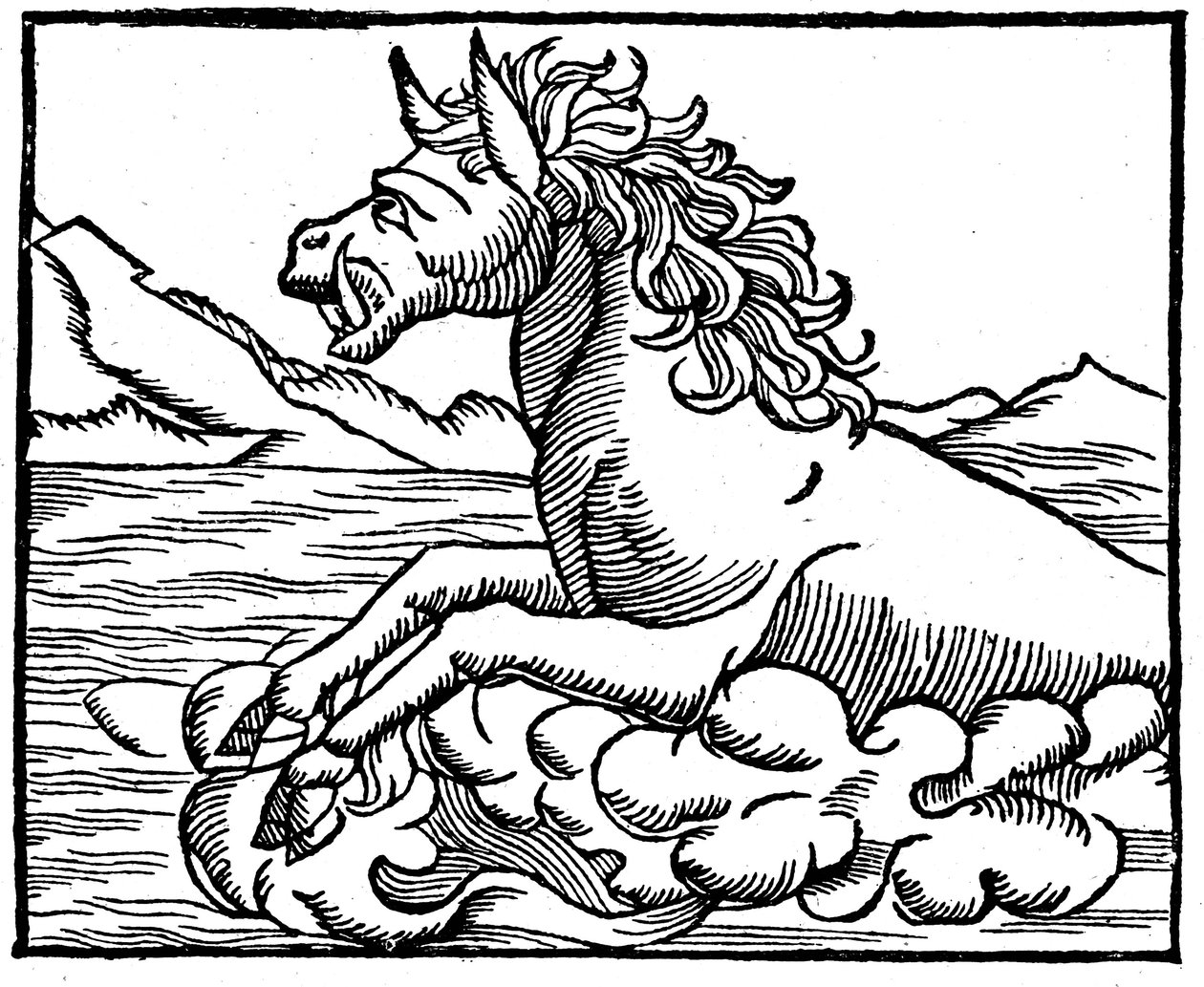 Søuhyr af Sebastian Munster