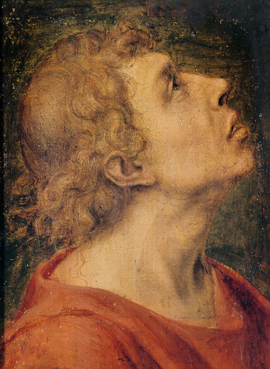 Sankt Johannes evangelisten (olie på træ) af Sebastiano del Piombo