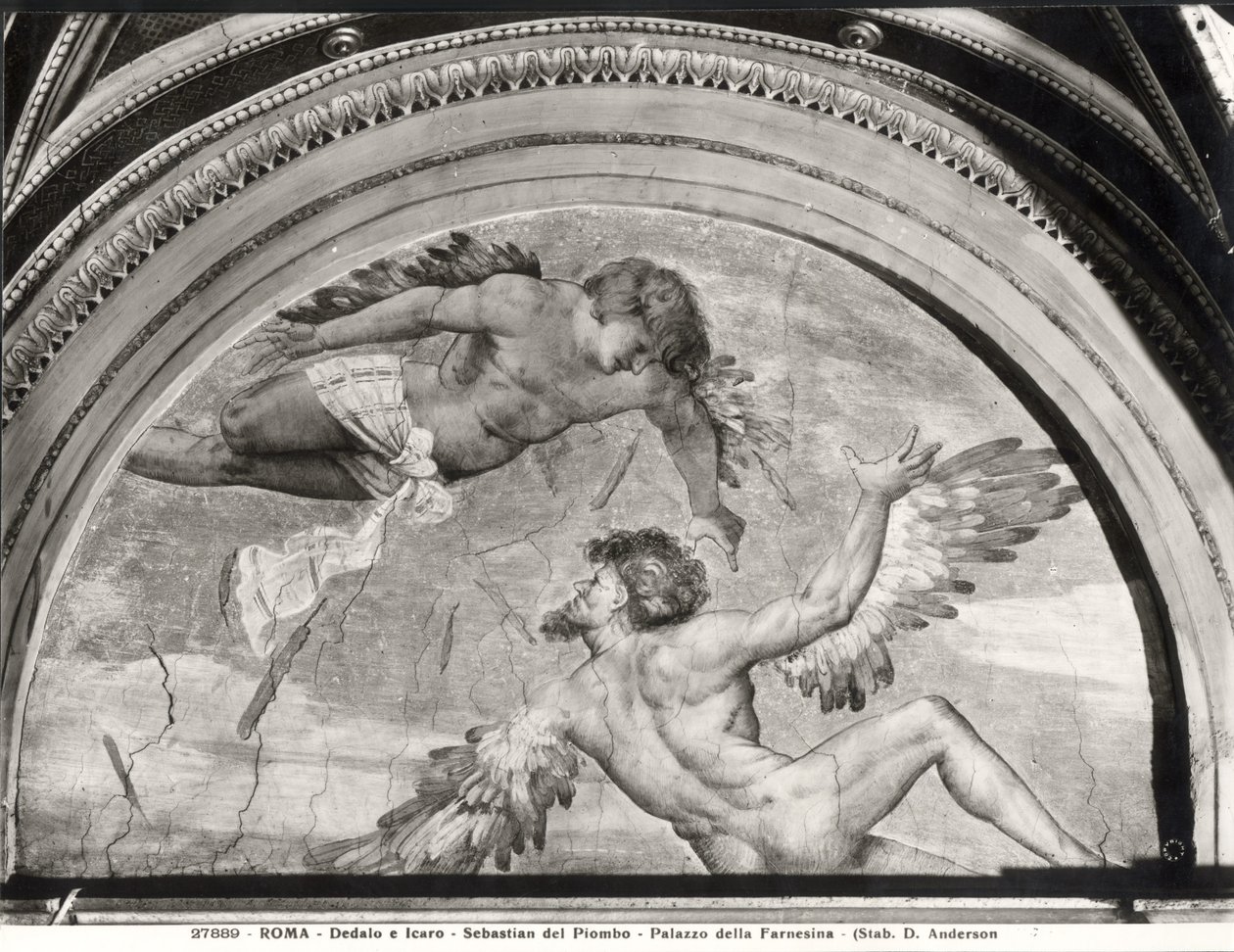 Daedalus og Ikaros, fra Ovids metamorfosers cyklus, ca. 1511 af Sebastiano del c.1485 1547 Piombo