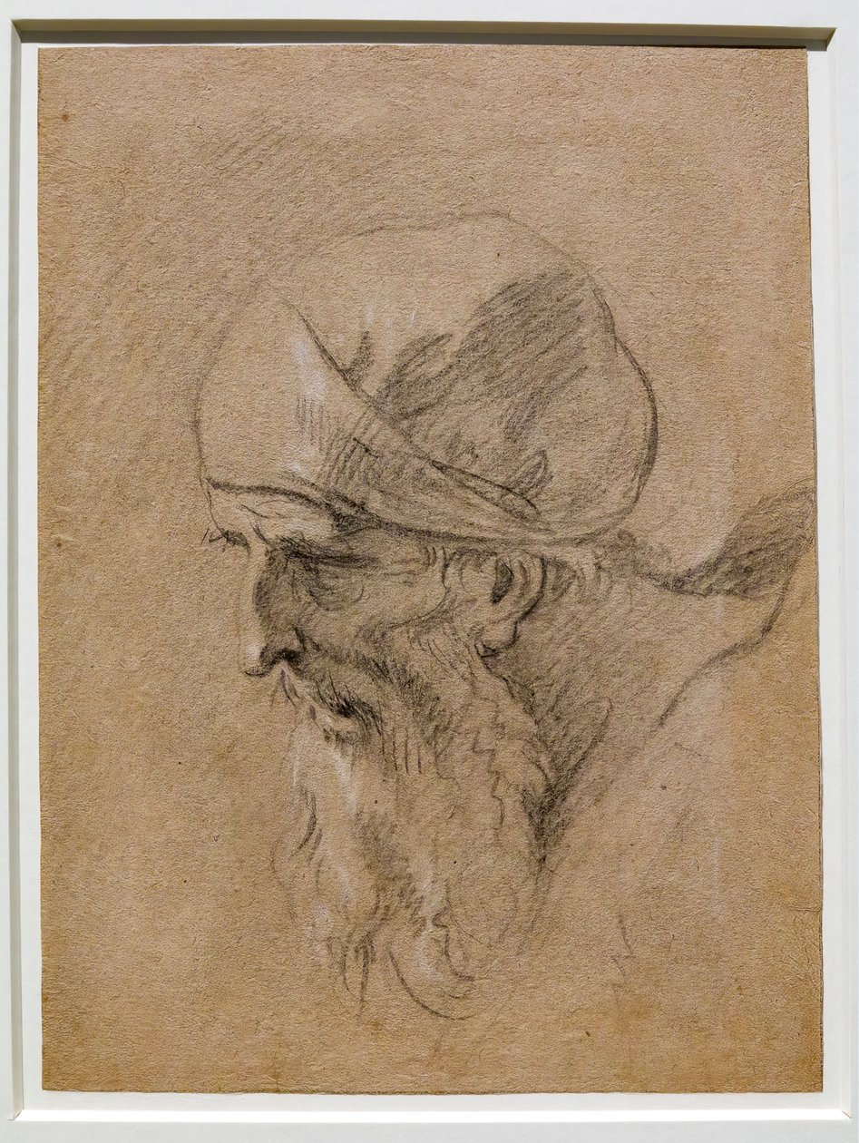 Hoved af en gammel mand af Sebastiano Ricci
