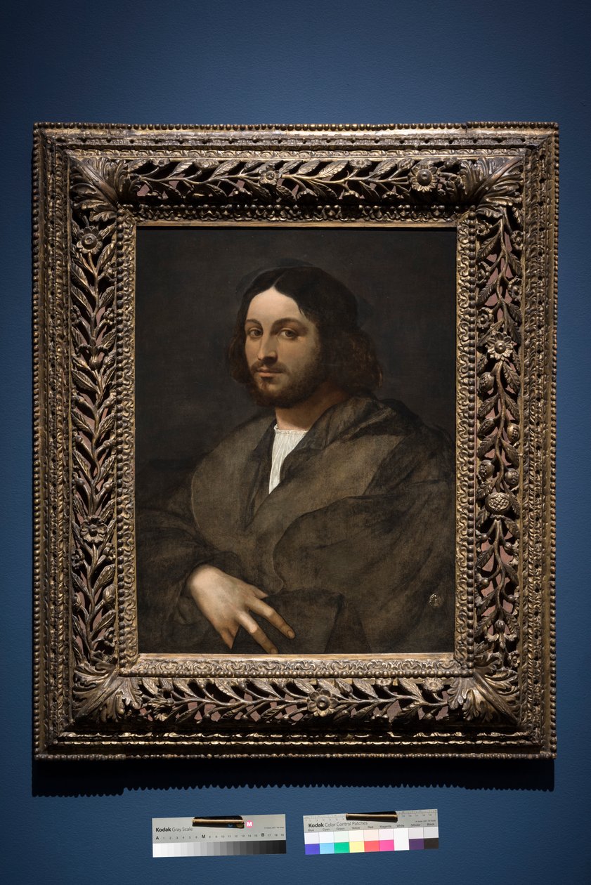 Portræt af en mand, ca. 1516-20 (olie på panel, overført fra panel) af Sebastiano del (c.1485 1547) Piombo