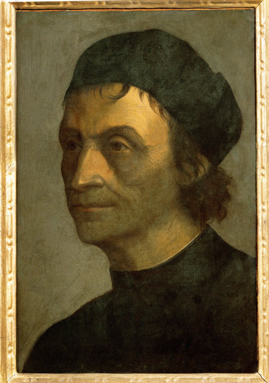 Portræt af en præst fra det pavelige hof (maleri på lærred) af Sebastiano del (c.1485-1547) Piombo