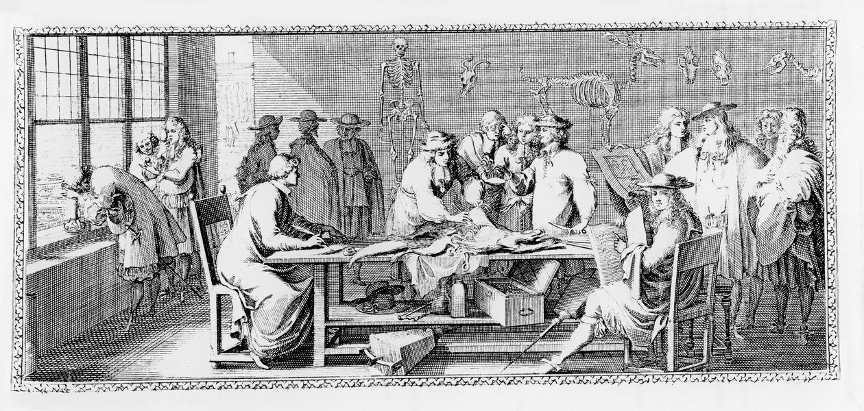 Anatomilektionen (dissektion i Jardin des Plantes) fra "Le Clerc Jomberd" 1168 af Sebastien I Le Clerc