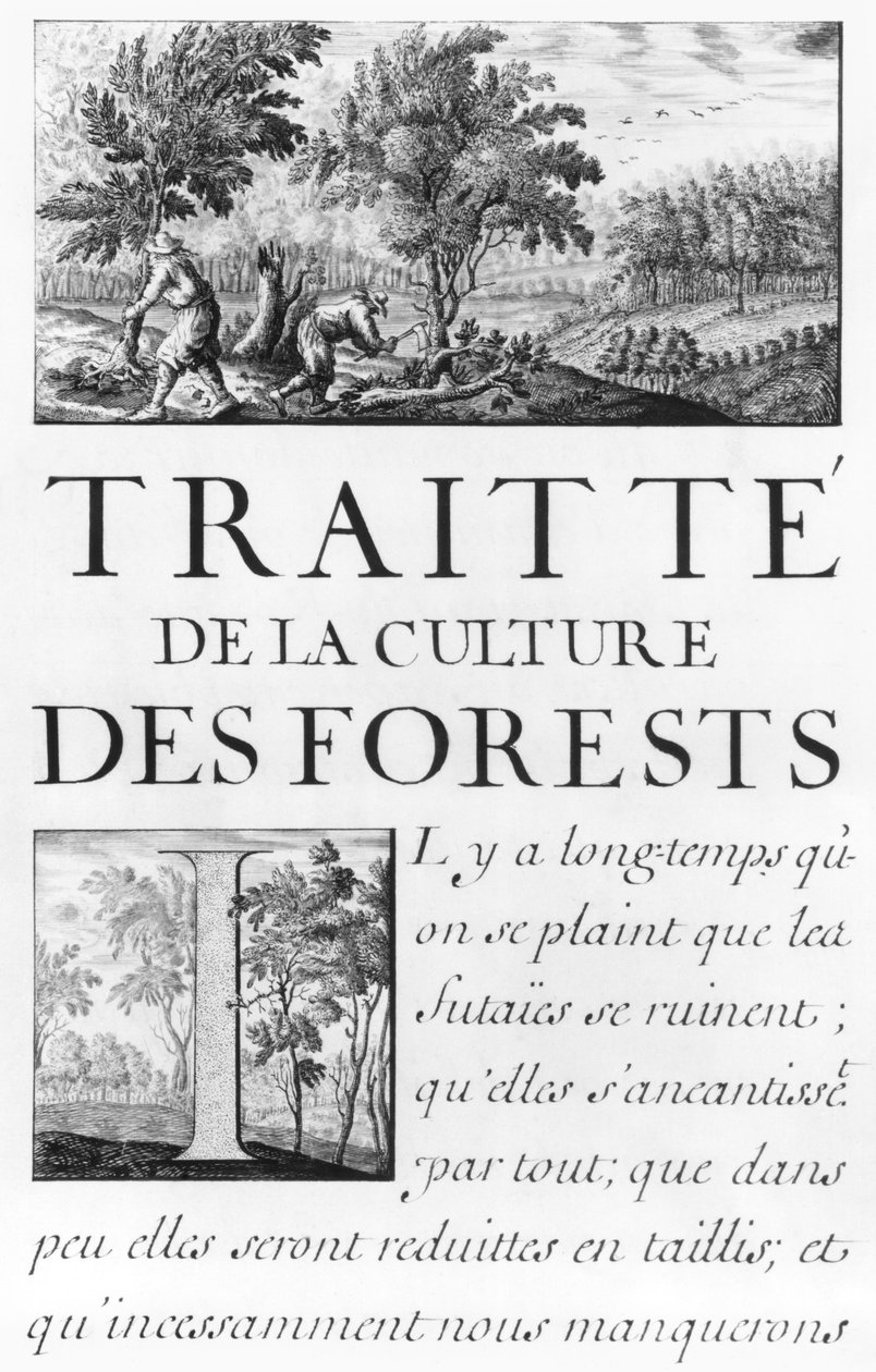 Ms 260 tome IV Frontispice af 