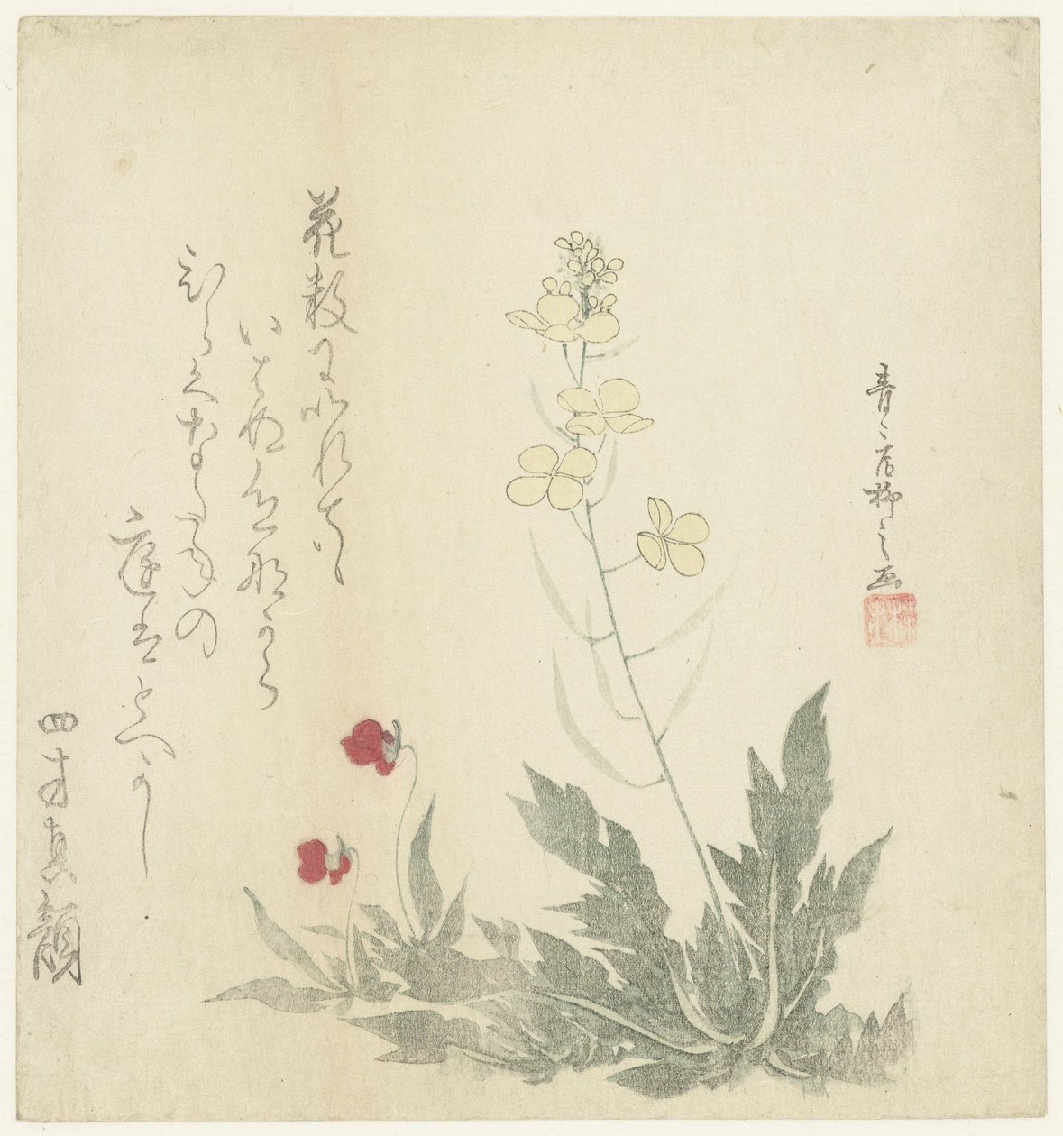 Blomstrende Planter af Seiseikyo Ryûshi