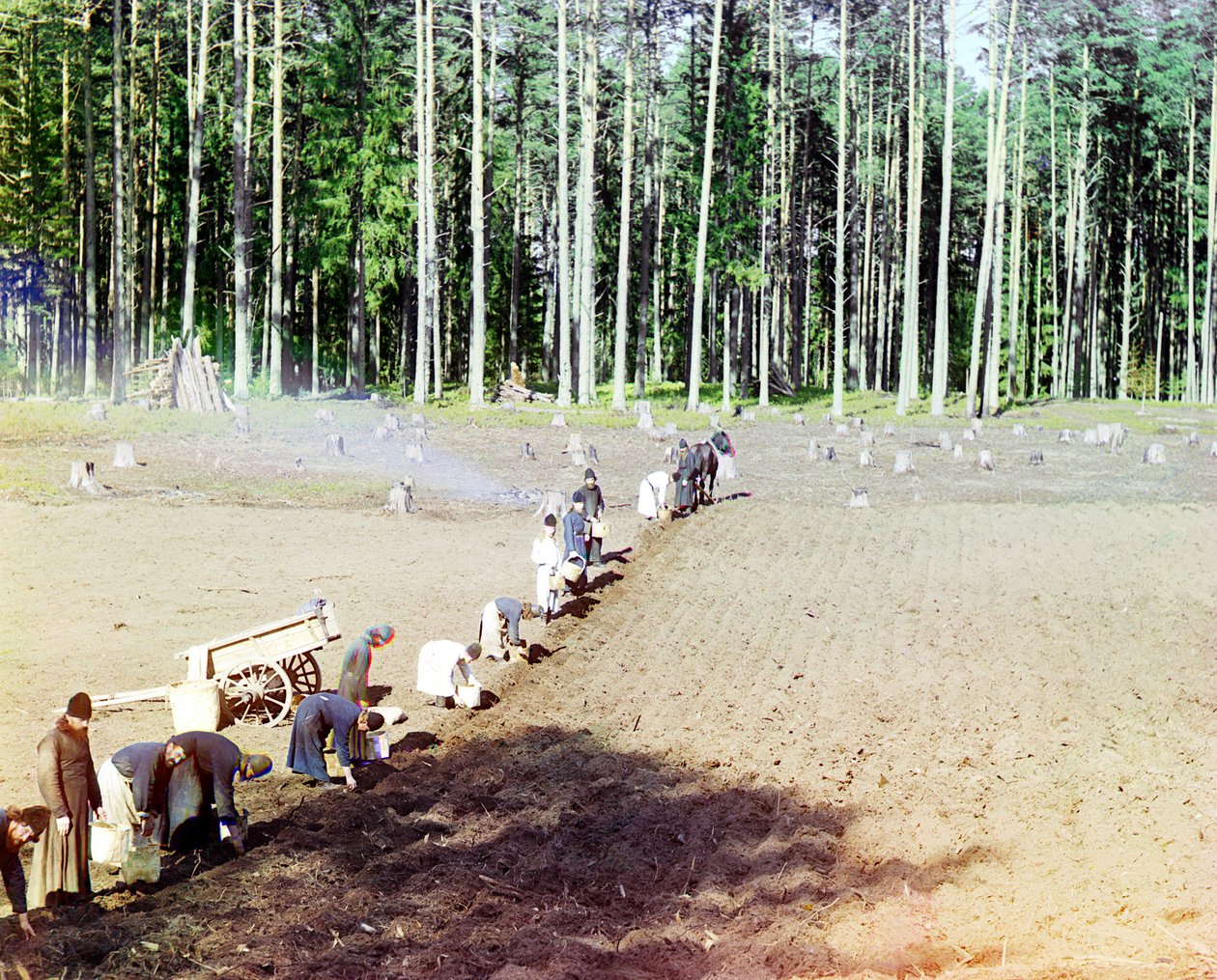 Munke planter kartofler nær Gethsemane-klosteret, Volga-floden, det russiske imperium, 1910 af Sergey Prokudin Gorsky
