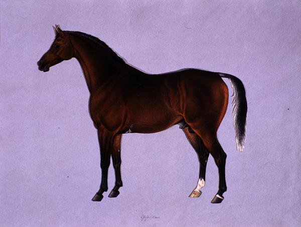 Oppidan, ca. 1840 (akvarel på papir) af Shaik Muhammad Amir of Karraya