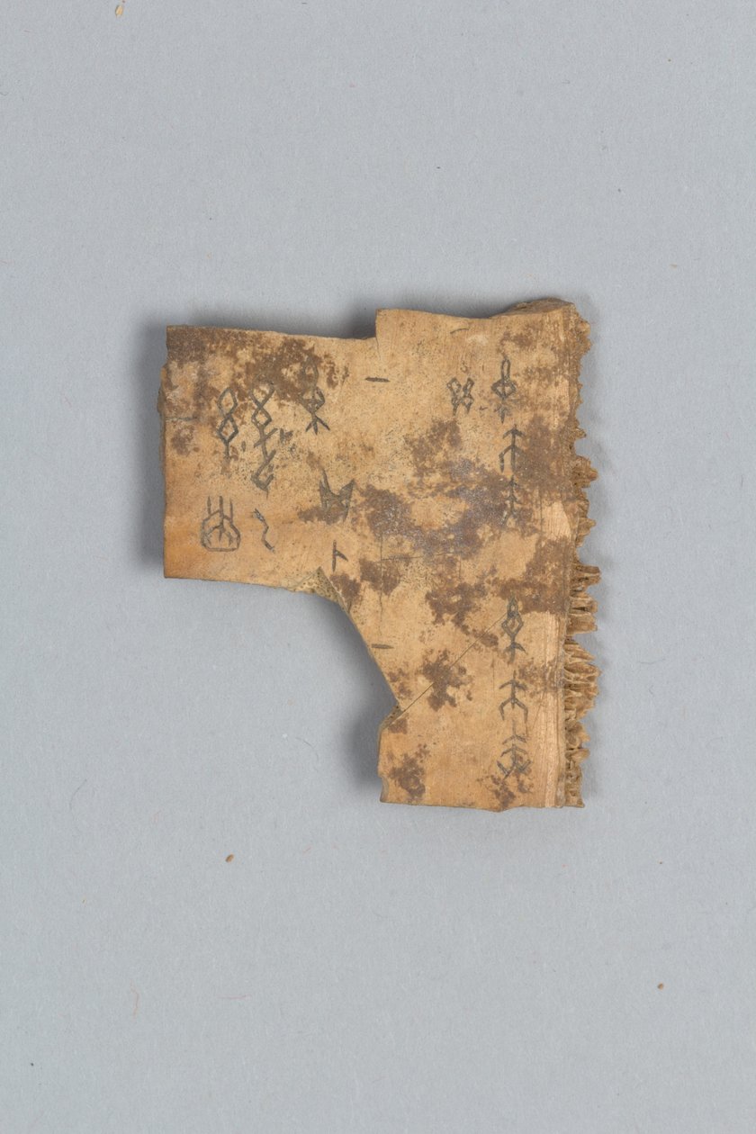 Fragment af Divining Bone (skal) af Shang Dynasty Chinese School