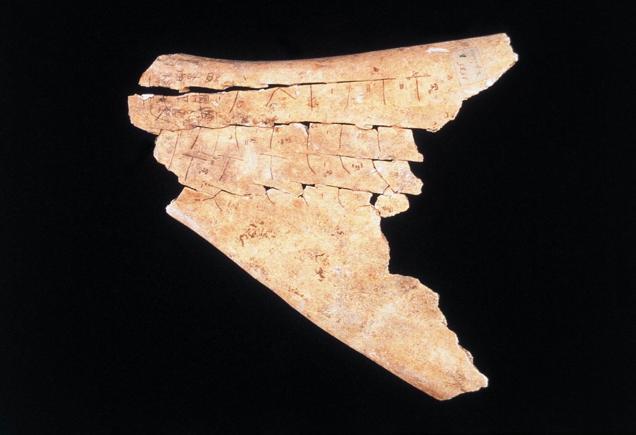 Piktogram på en okse scapula med et ritual for at afværge fare (knogle) af Shang Dynasty Chinese School