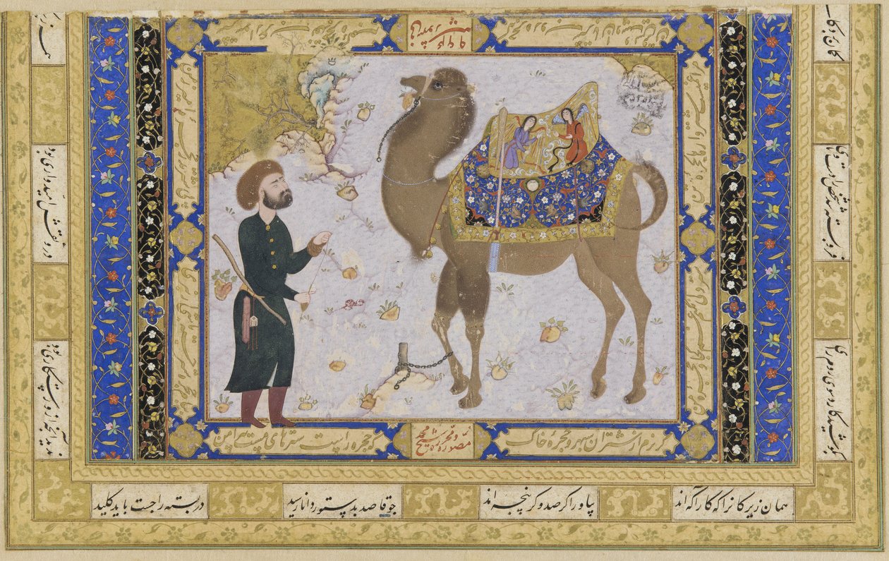 Kamel og vogter, Safavid Periode, 1556-57 (blæk, uigennemsigtigt wc & guld på papir) af Shaykh Muhammad