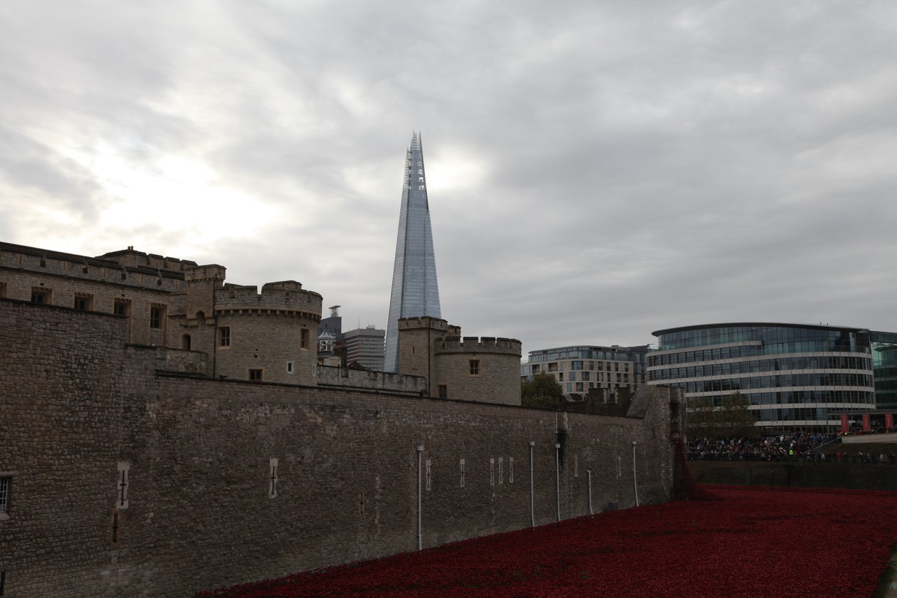 Blood Swept Lands and Seas of Red, Tower of London, 2014. af Sheldon Marshall