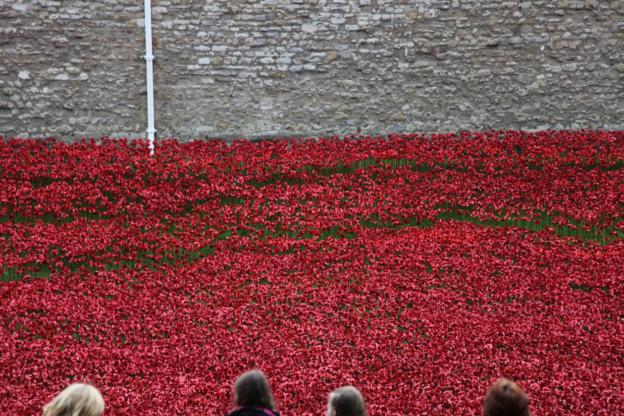 Blood Swept Lands and Seas of Red, Tower of London, 2014. af Sheldon Marshall