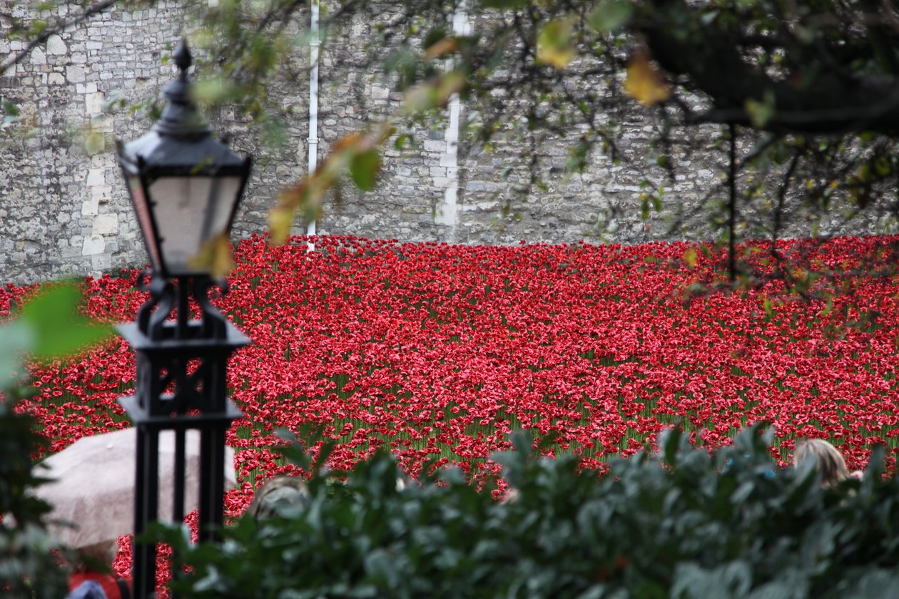Blood Swept Lands and Seas of Red, Tower of London, 2014. af Sheldon Marshall