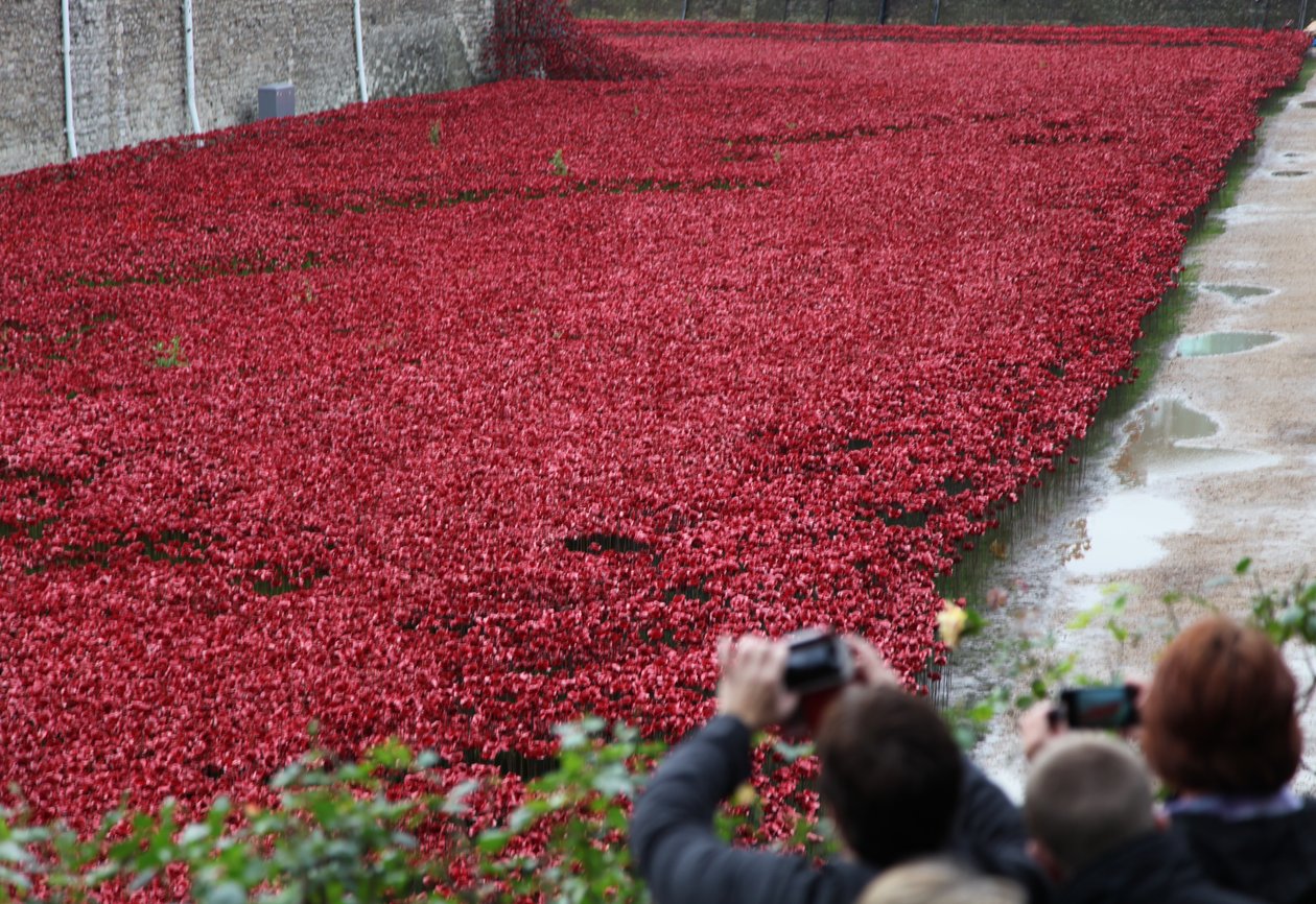 Blood Swept Lands and Seas of Red, Tower of London, 2014. af Sheldon Marshall