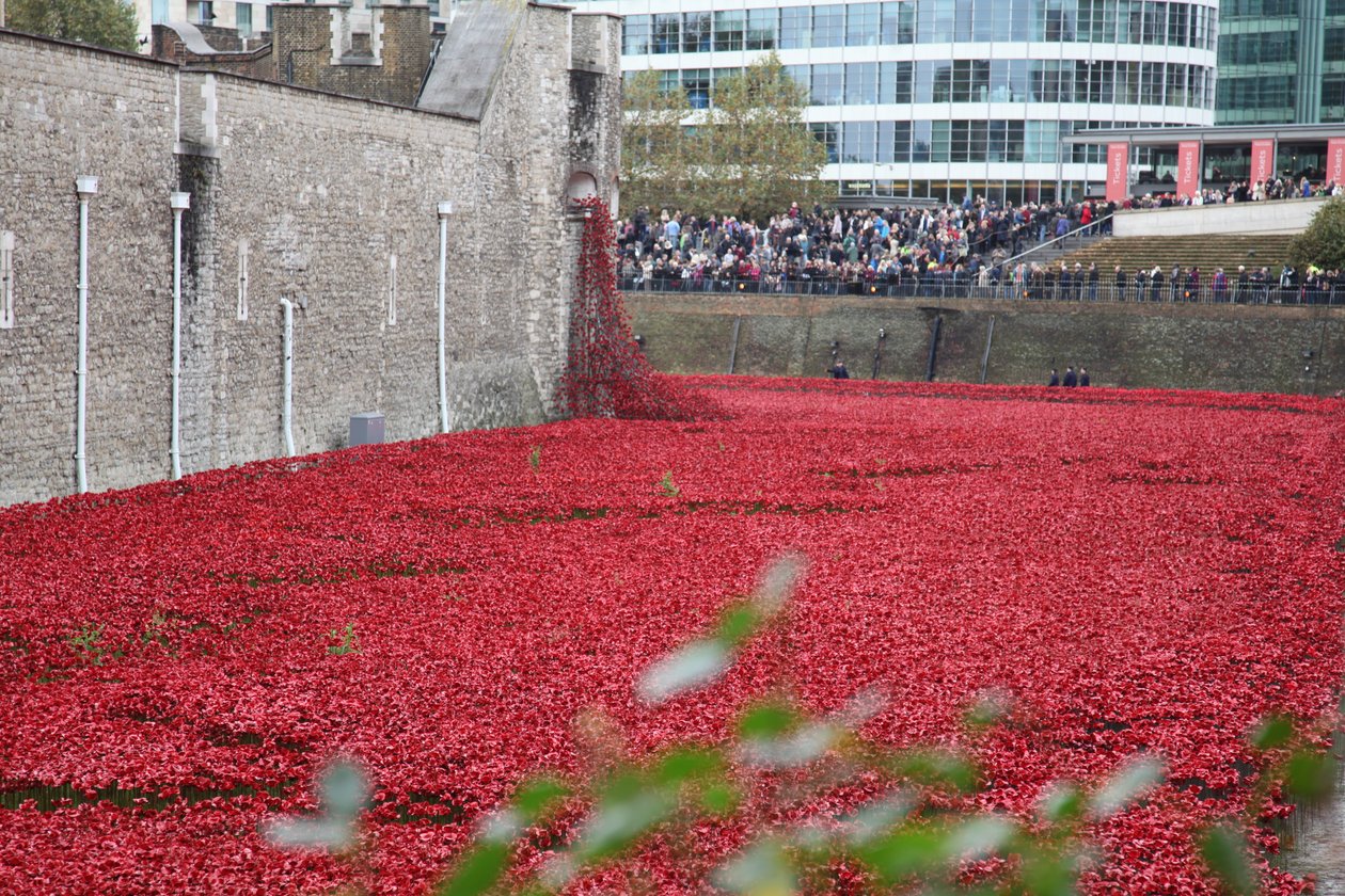 Blood Swept Lands and Seas of Red, Tower of London, 2014. af Sheldon Marshall