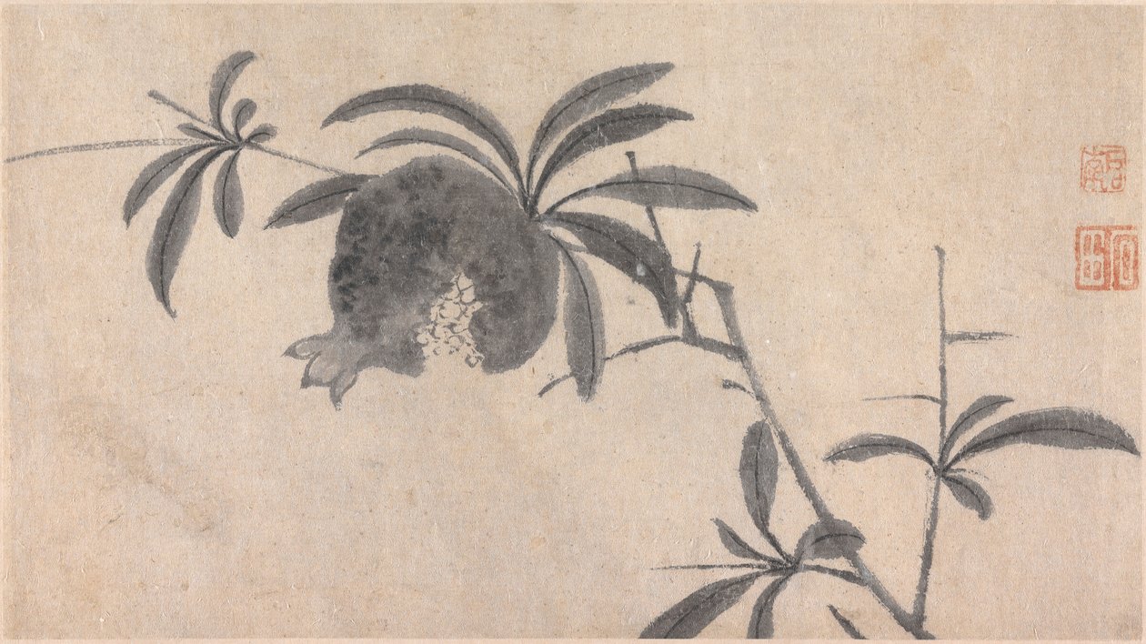 Frugt af Shen Zhou