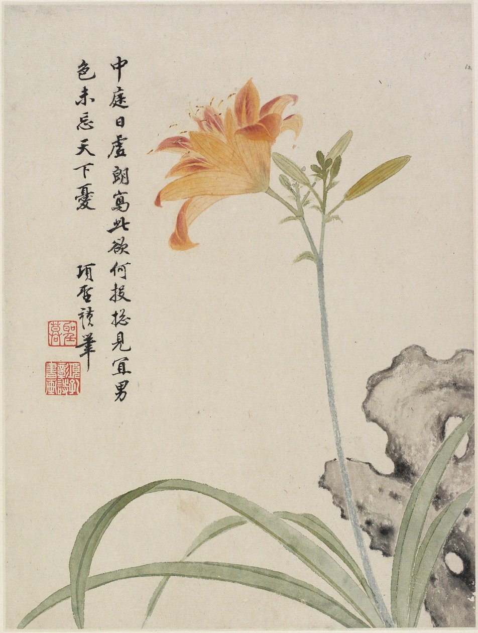 Daglilje fra et blomsteralbum med ti blade, 1656 (blæk og farve på papir) af Shengmo Xiang