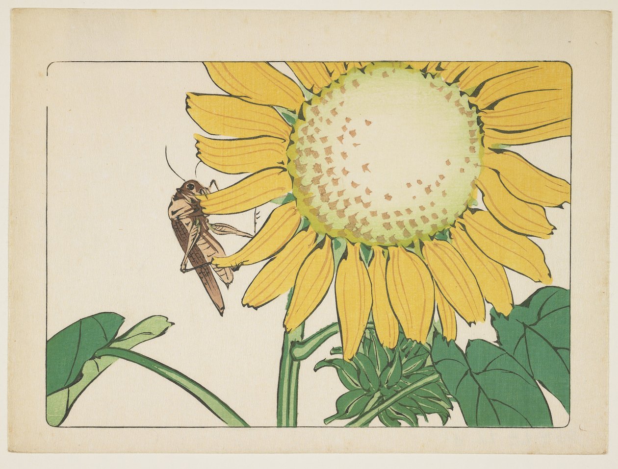 (græshoppe og solsikke), ca. 1877 af Shibata Zeshin