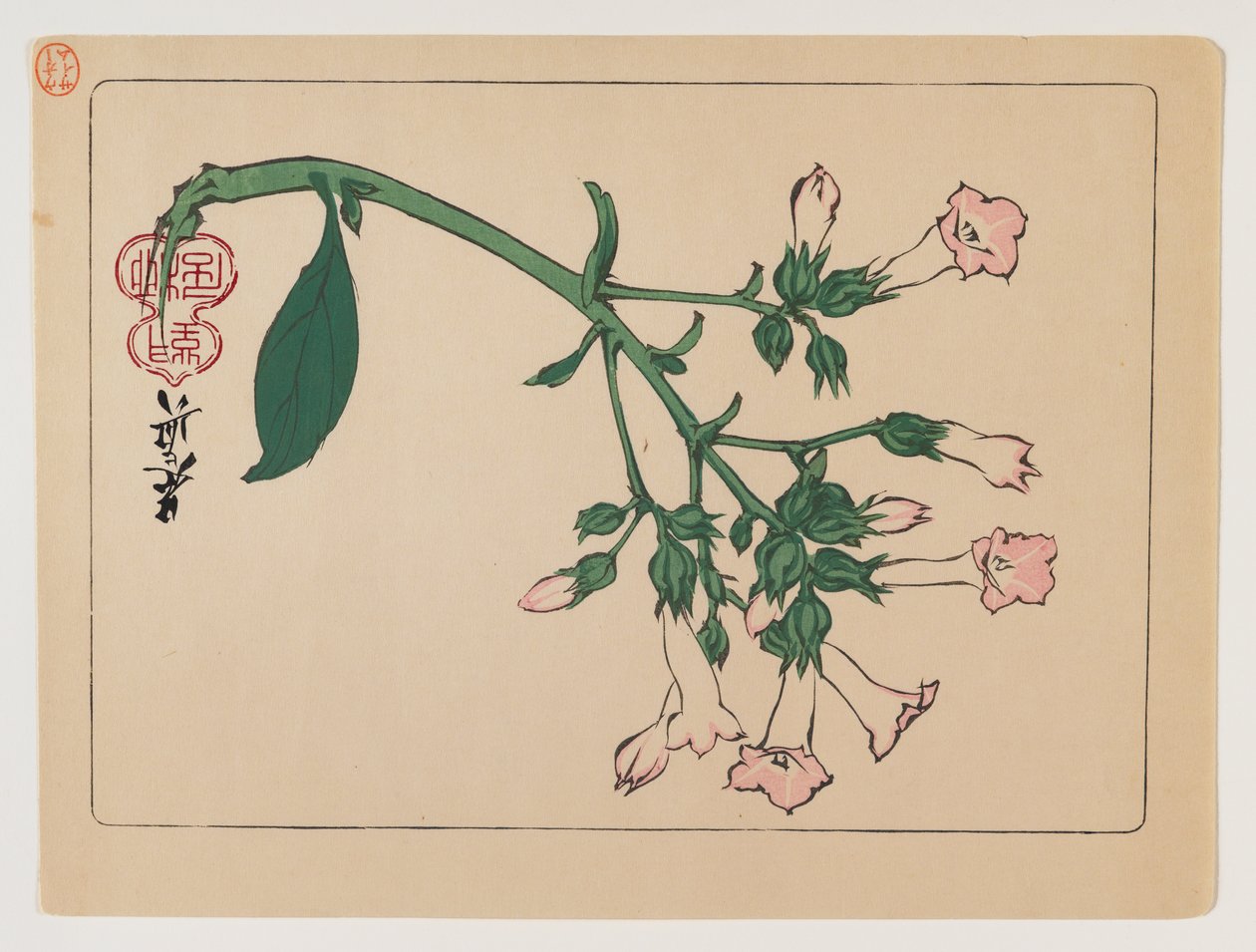 Blomstrende plante fra serien Hana Kurabe, ca. 1880 (træblok farvetryk) af Shibata Zeshin