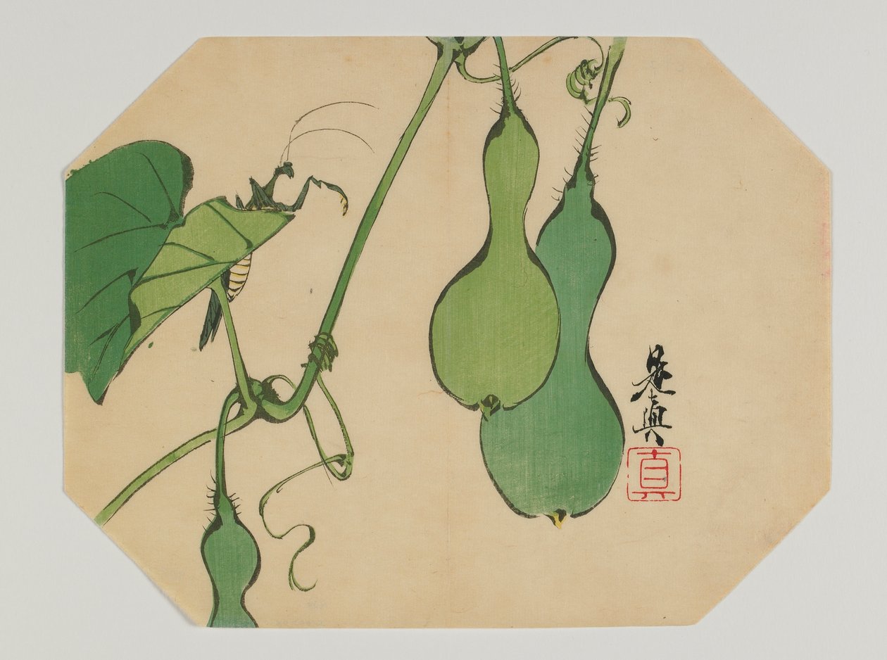 Tryk til en uchiwa, græskar på en vinstok med en mantis, Meiji-æra, slutningen af det 19. århundrede (træbloktryk i farver) af Shibata Zeshin