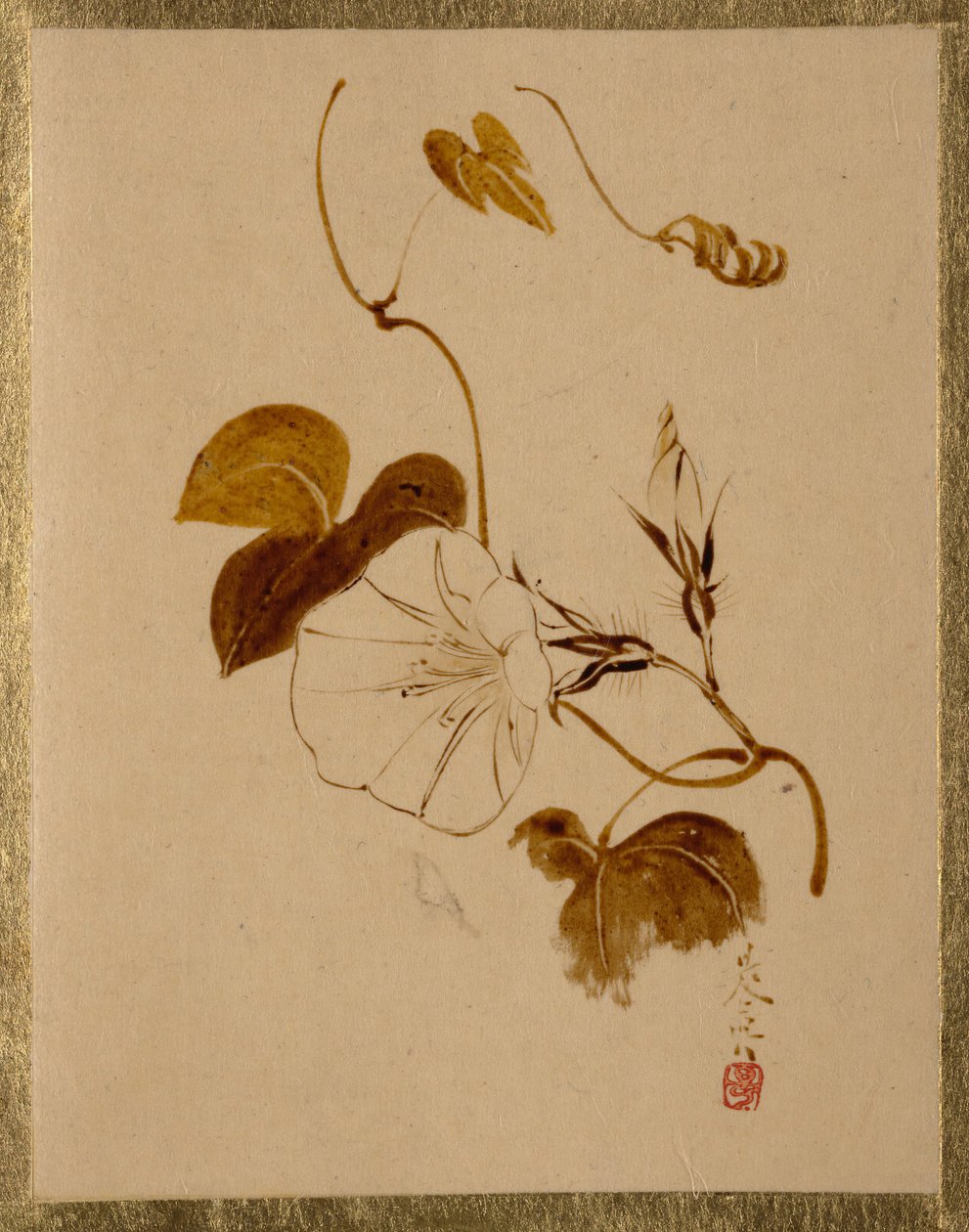 Morgen herlighed. af Shibata Zeshin