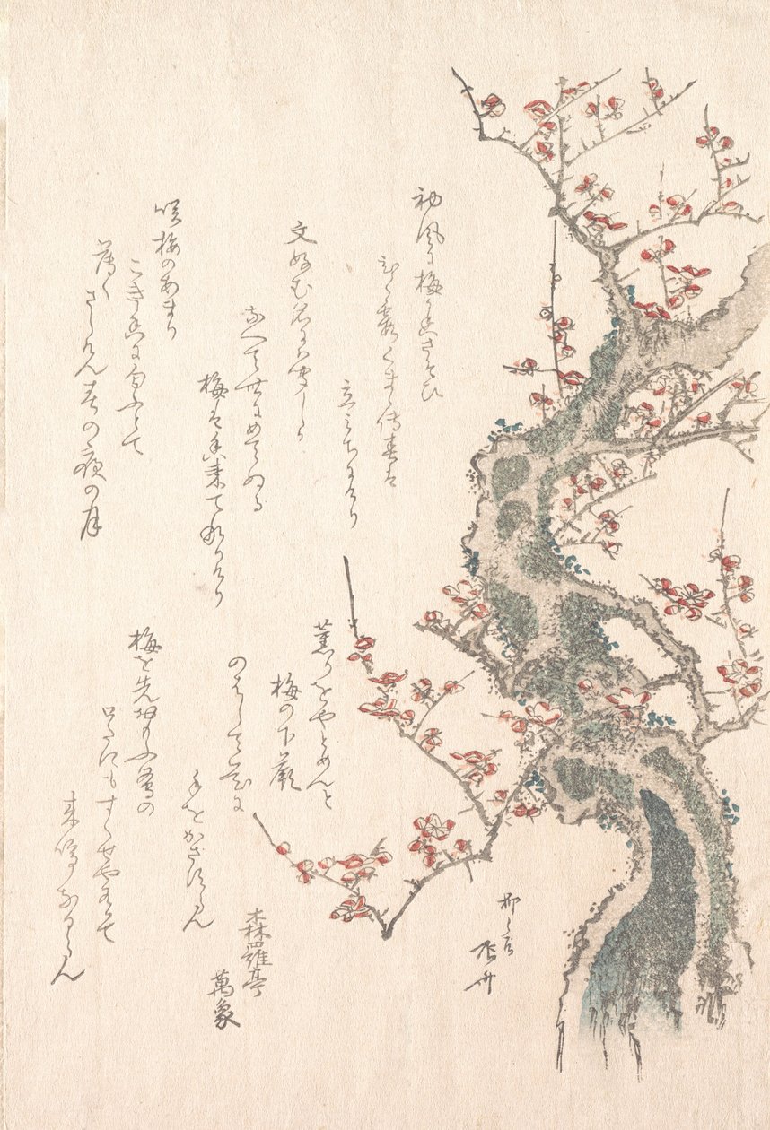 Spring Rain Collection Harusame shu, vol. 1: Blommetræ i blomst, ca. 1805-10., ca. 1805-10. af Shinsai