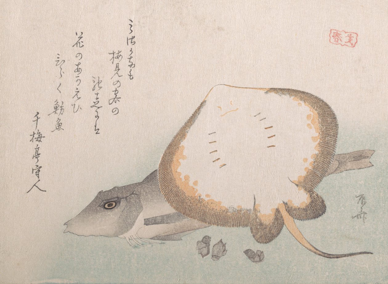 Stingray og Gurnard, sandsynligvis 1815., sandsynligvis 1815. af Shinsai