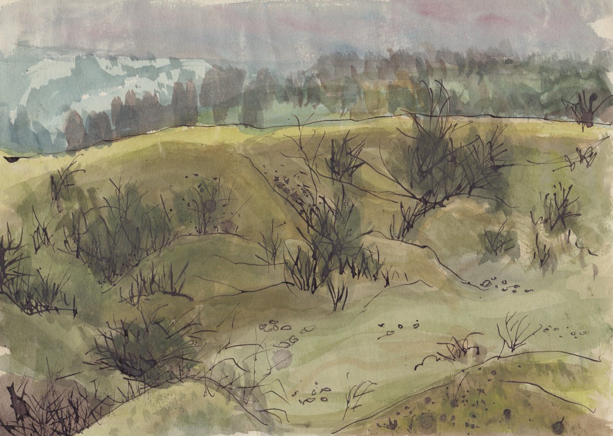 Landskab med buske, Italien, c1950. af Shirley Markham