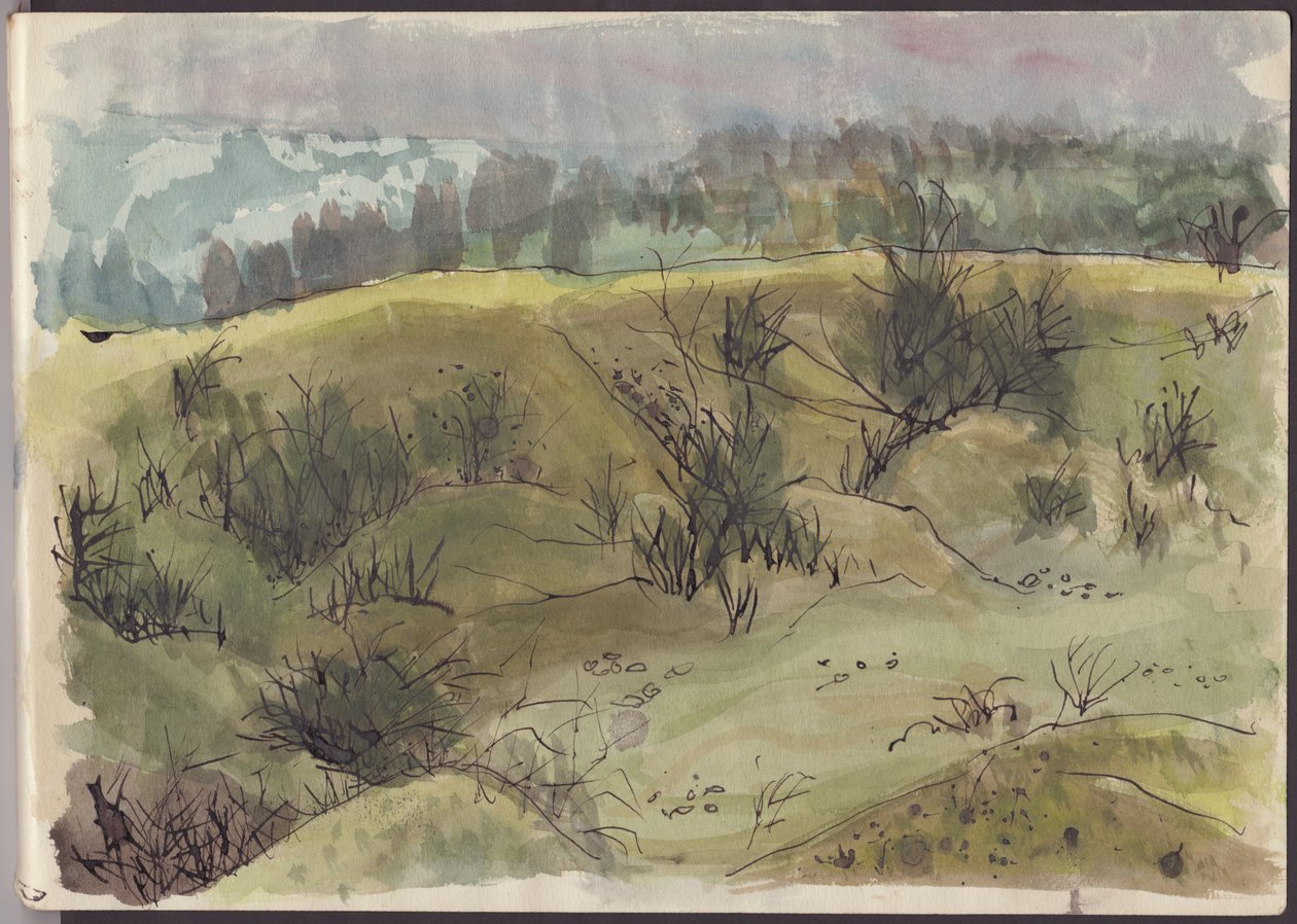 Landskab med buske, Italien, c1950. af Shirley Markham