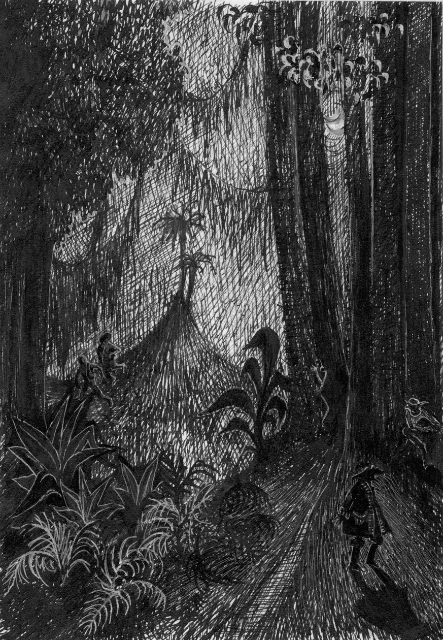 Pirat i regnskoven, 1953. af Shirley Markham