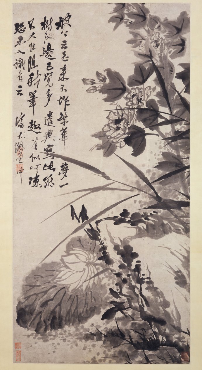 Hibiscus, Lotus og Rock, ca. 1705-7. af Shitao