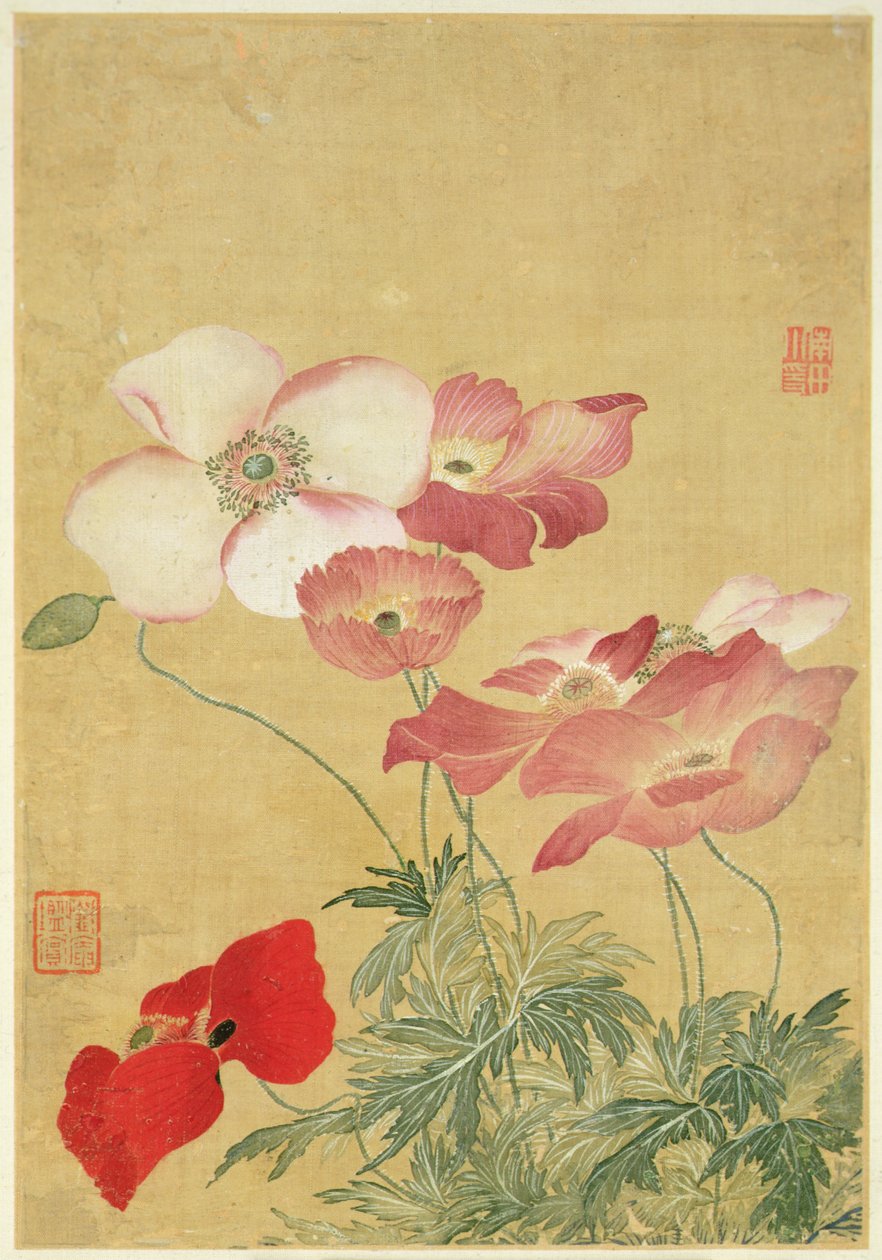 Billede fra Album of Flower Paintings (akvarel) af Shouping Yun
