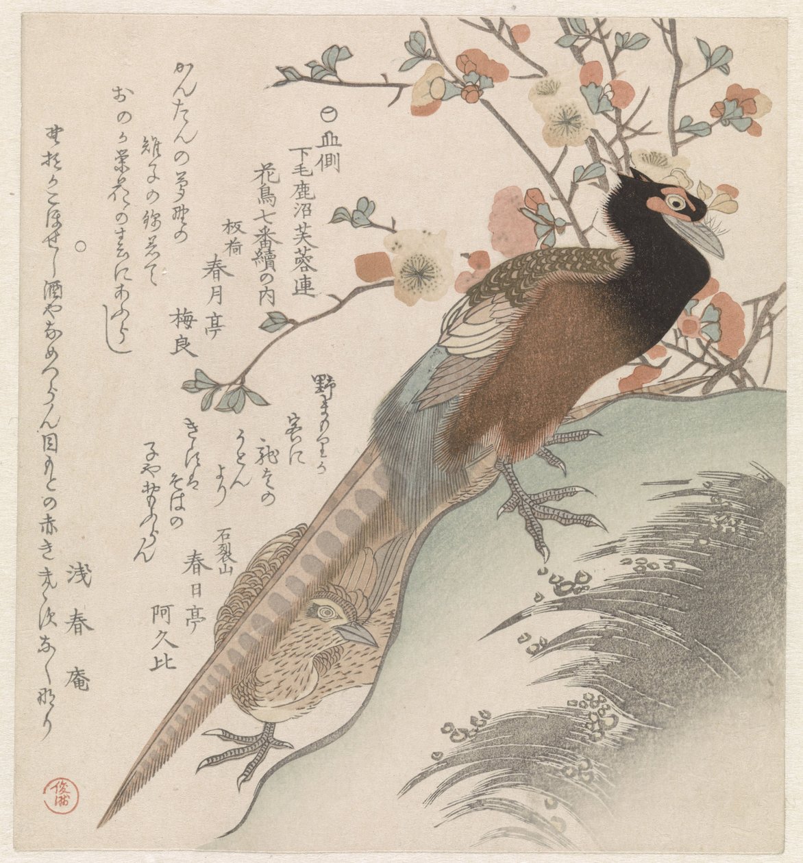 Fasaner til en blomstrende gren Syv billeder af fugle og blomster for Fuyôren Poetry Society of Kanuma fra Shimotsuke-provinsen (serietitel) Yamagawa Shimotsuke Kanuma Fuyôren kachô shichiban tsuzuki no uchi (serietitel på objekt) af Shunman