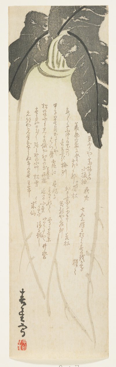 Daikon radise, januar 1864 (træbloktryk i farver) af Shunsei