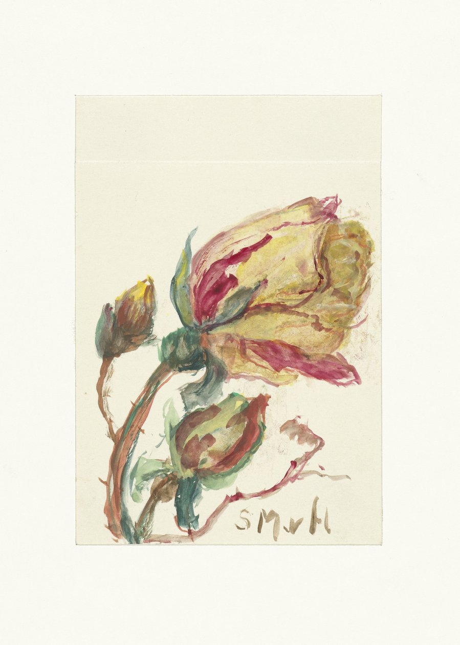 Roos af Sientje Mesdag van Houten