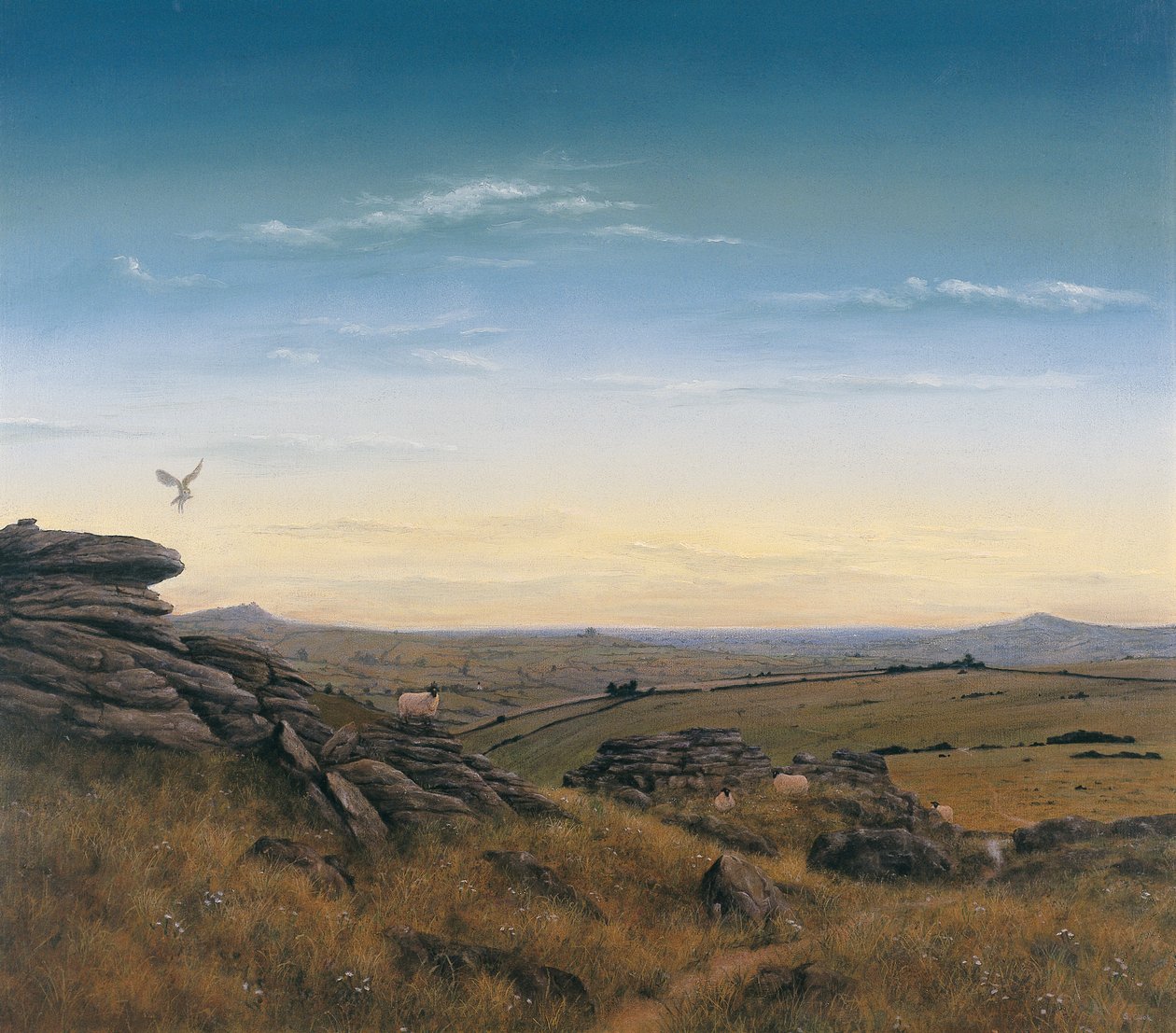 Aftenhimmel af Simon Cook