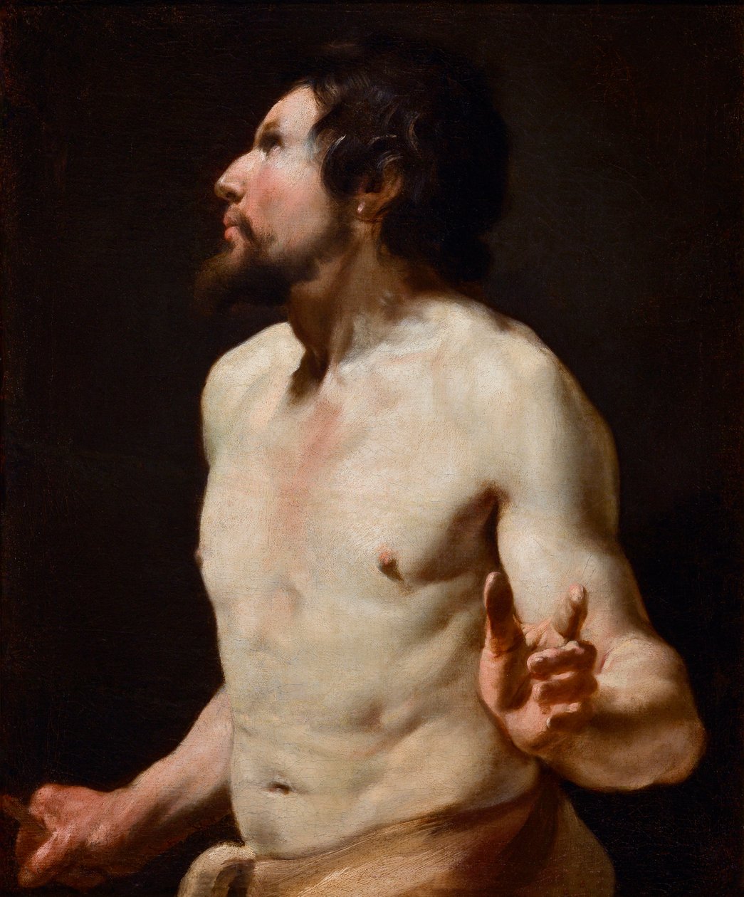 Studie af torso-maleri fra Simon Vouets skole (1590-1649) (maleri) af Simon (circle of) Vouet