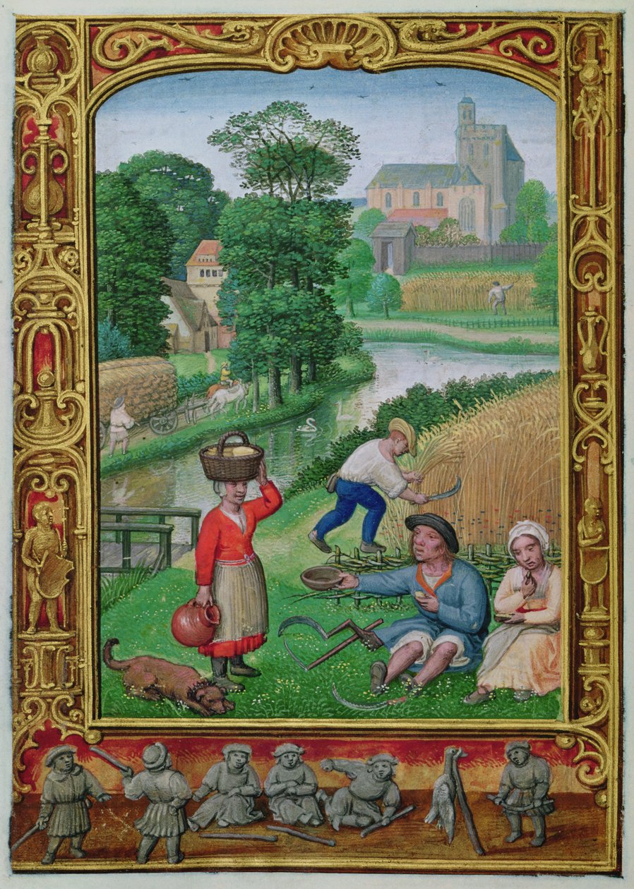 Tilføj 24098 f.25v August: Høst nær en flod, fra en timebog eller golfbogen, ca. 1520-30 (vellum) af Simon (workshop of) Bening