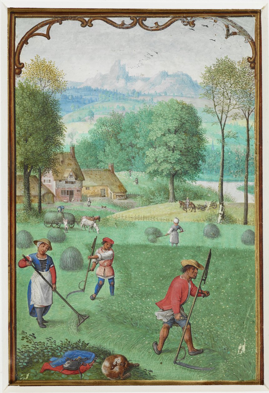 Tilføj MS 18855 f.109v juli: høst, såning, fra en timebog, ca. 1540 (vellum) af Simon Bening