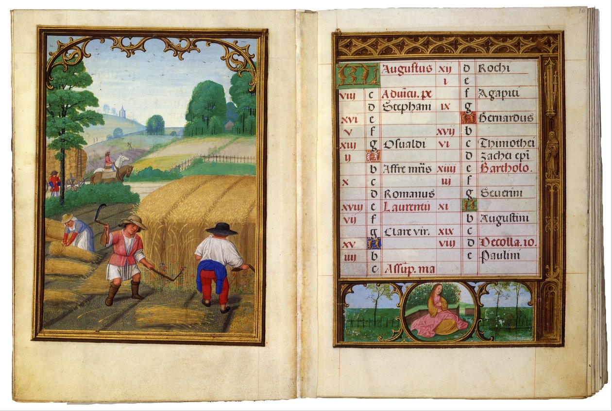 August- Flyttehvede, bindende skiver af Simon Bening