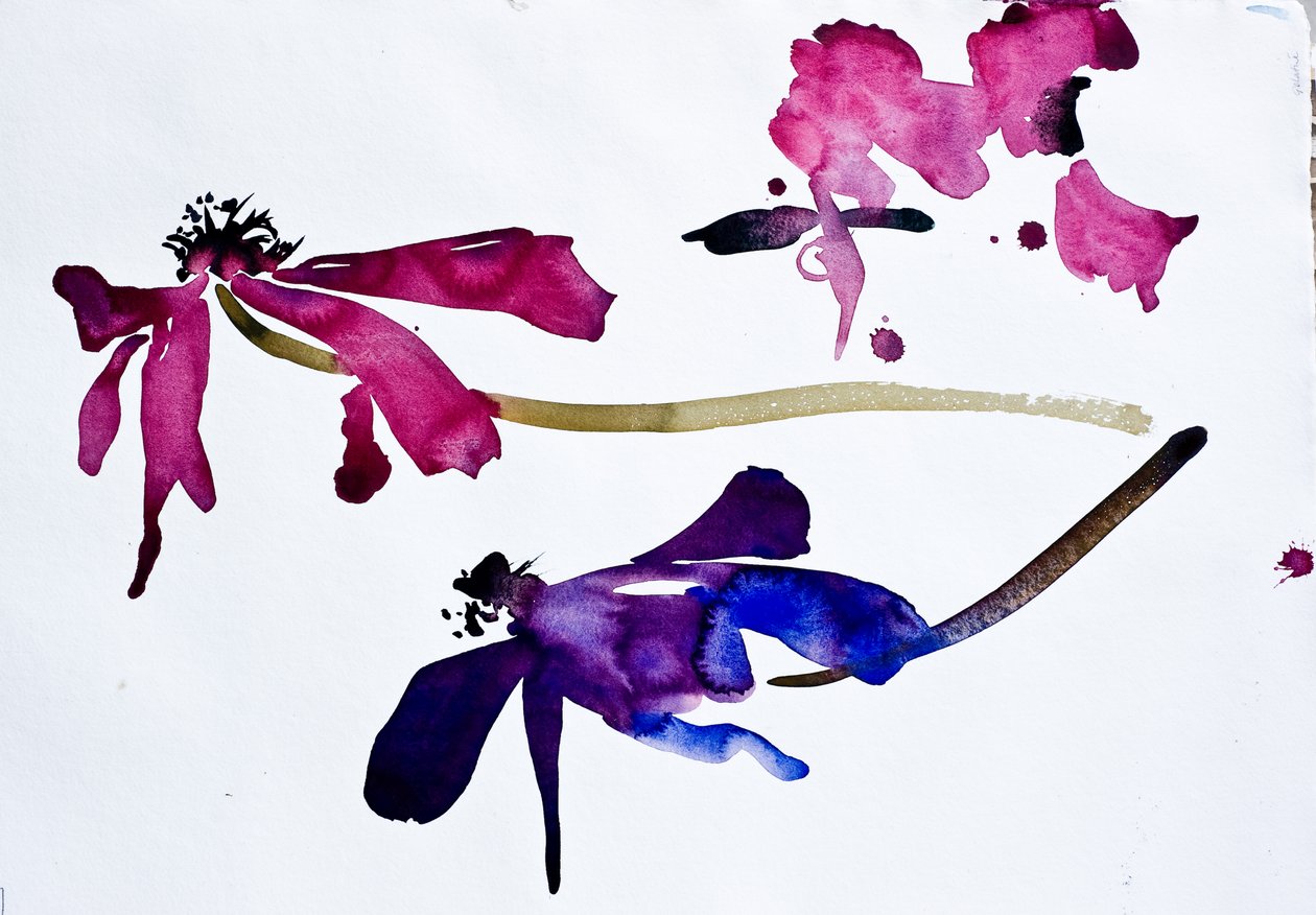 Anemoner (akvarel på papir) af Simon Fletcher